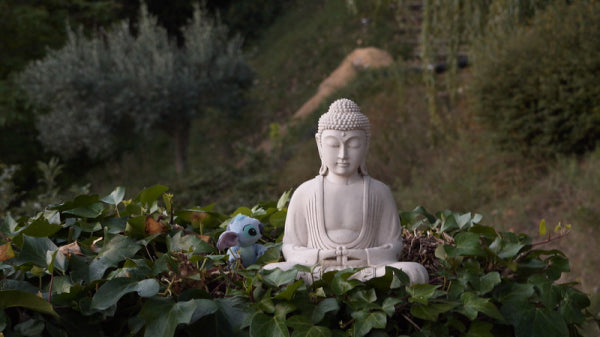 Avoir une bonne assise en méditation