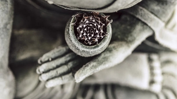 Quelles sont les différentes postures pour méditer ?