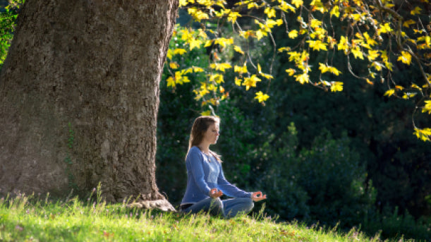 Lexique : comprendre le Yoga et sa philosophie