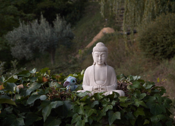 Avoir une bonne assise en méditation
