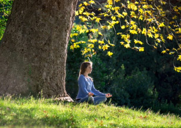 Lexique : comprendre le Yoga et sa philosophie