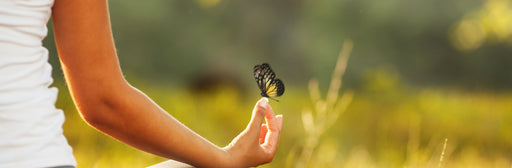 Accessoires de Méditation